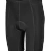 World Jerseys Formaggio 6 Panel GEL Padded Lycra Shorts -Outlet Bike Store QBcLbPXDXqJ978p0c 6bUN4pA